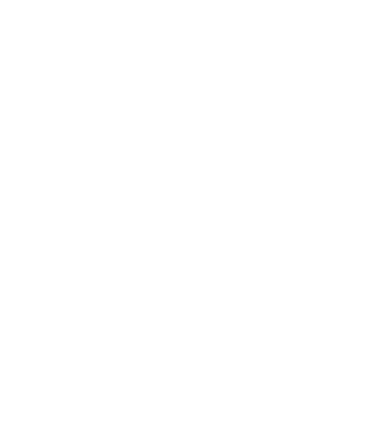 lion w