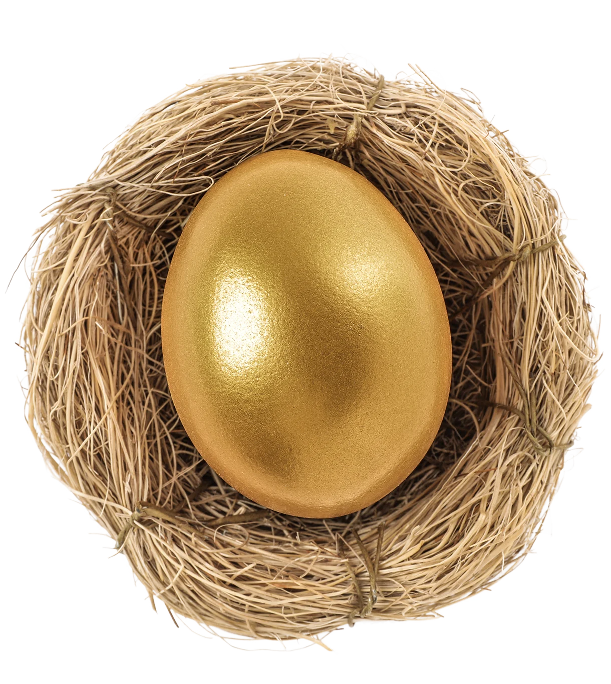 nest egg